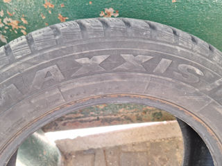 Maxxis 195/65R 15