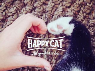 Корм для кошек Happy Cat! С доставкой! foto 4