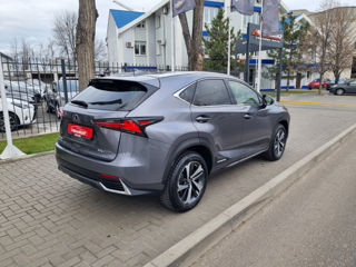 Lexus NX Series foto 5