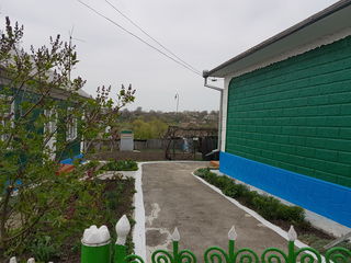 Продам земельный участок с двумя домами в селе Тырново, Дондюшанский район foto 2