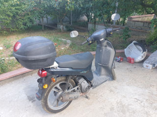 Honda Sh50 foto 9