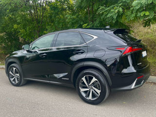 Lexus NX Series foto 3