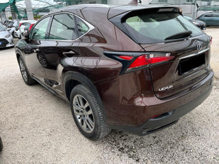 Lexus NX Series foto 3