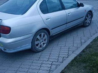 Nissan Primera foto 5