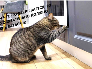 Маруся ищет Дом! foto 8