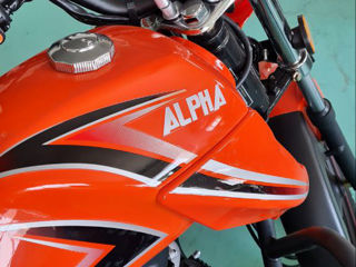 alpha moto мотоцикл  alpha foto 4