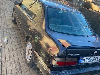 Nissan Primera