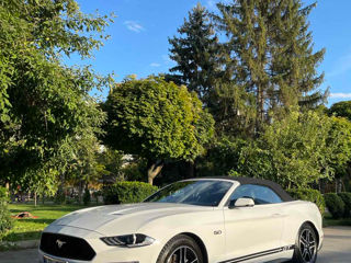 Ford Mustang foto 8