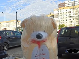 Ursuleți gigant 170 cm cu I Love You. Livrarea gratuită în Chișinău. livrăm rapid toată Moldova. foto 16