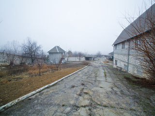 Кишинёв, Крикова (земельный участок 66 соток) foto 4