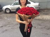 101 trandafiri moldovenesti de la 1300 lei! foto 2