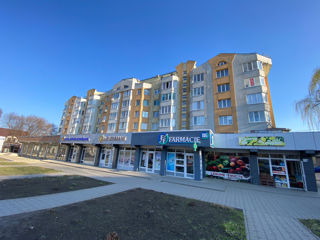 Apartament cu 1 cameră, 59 m², Centru, Cricova, Chișinău mun.