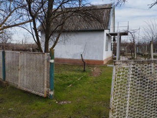 Приватизированая дача возле лимана... foto 10