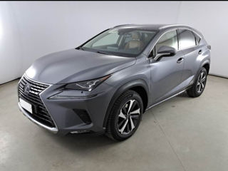 Lexus NX Series