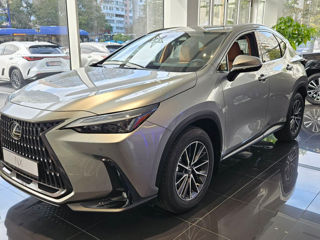 Lexus NX Series