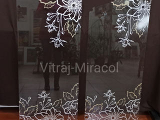 Sticla stricata in usa, mobila, schimbam/ меняем разбитые стекла в двери и мебель. foto 8