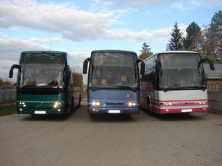 Автобусы на заказ foto 2