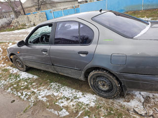 Nissan Primera foto 3