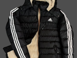 Adidas Nike Prada The North Face foto 9