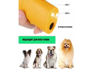 Respingător cu ultrasunete pentru câini cu funcție de dresaj AD-100 foto 7