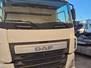 Daf