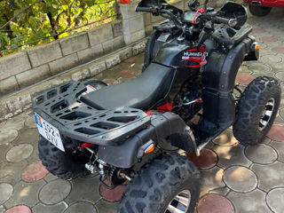 Boss ATV ATV foto 6