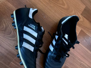 Bute Adidas !