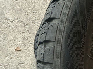 MAXXIS 205/55 R16 foto 2