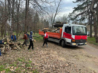 Servicii de curățare și întreținere a terenurilor foto 13