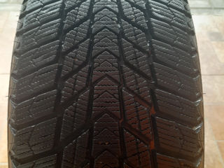 Nexen winguard ice plus 205/55 R16 ca noi foto 2