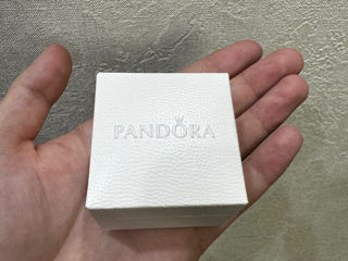 Pandora cercei foto 3