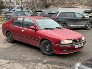 Nissan Primera foto 9