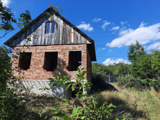 Продам дачный участок 6 соток с домом в живописном месте в Кодрах рядом с селом Рышково. foto 2