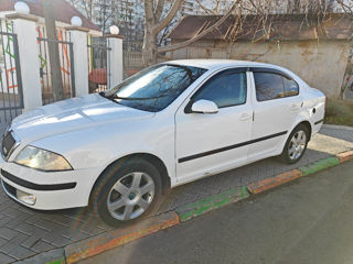 Skoda Octavia foto 7