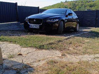 Jaguar XE foto 7