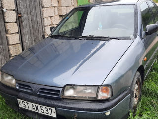 Nissan Primera