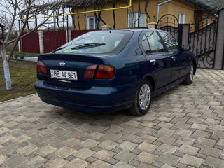 Nissan Primera foto 4