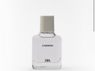 ZARA Gardenia