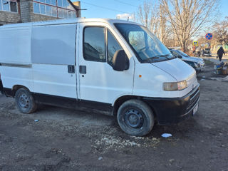 Fiat Scudo foto 4