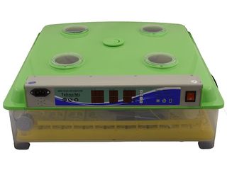 Инкубатор MS-98 с 98 яиц автоматическим переворотом яиц Incubator automat foto 2