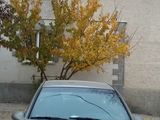 Запчасти на Opel Vectra B foto 1