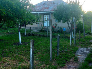 Vind casa  villa  . 40 km de la Iasi Romania si 30 de la Ungheni foto 1