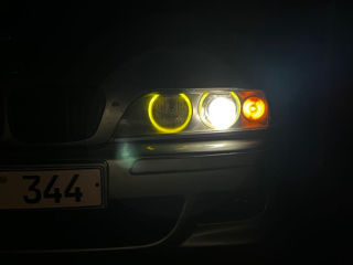 BMW 5 Series foto 7