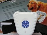 Радиоошейник для тренировки собак, видеокамера foto 4