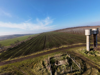 Vanzare Teren Agricol Ferma Depozit Arteziana 380v Bazin foto 11