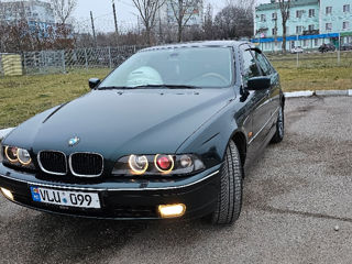 BMW 5 Series foto 10