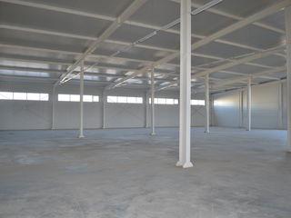 Chirie Depozit. 1 Etaj. De la 1200m2 la 12800 m2 foto 3