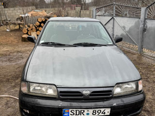 Nissan Primera foto 2