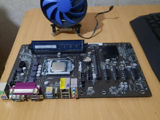 Продам сборку ASRock H81 Pro BTC 16 Gb DDR3 1600 Ghz