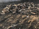 Vind lemne de foc, gater lungimea de la 1.5m pina la 3m foto 5